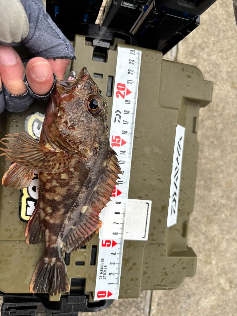 MajorCraft 鯵道 5G AD5-S682L/AJIの最安値・インプレ・釣果 | 本音の