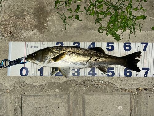 荒川河川敷運動公園