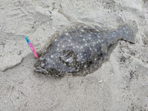 五十鈴川河口（伊勢）