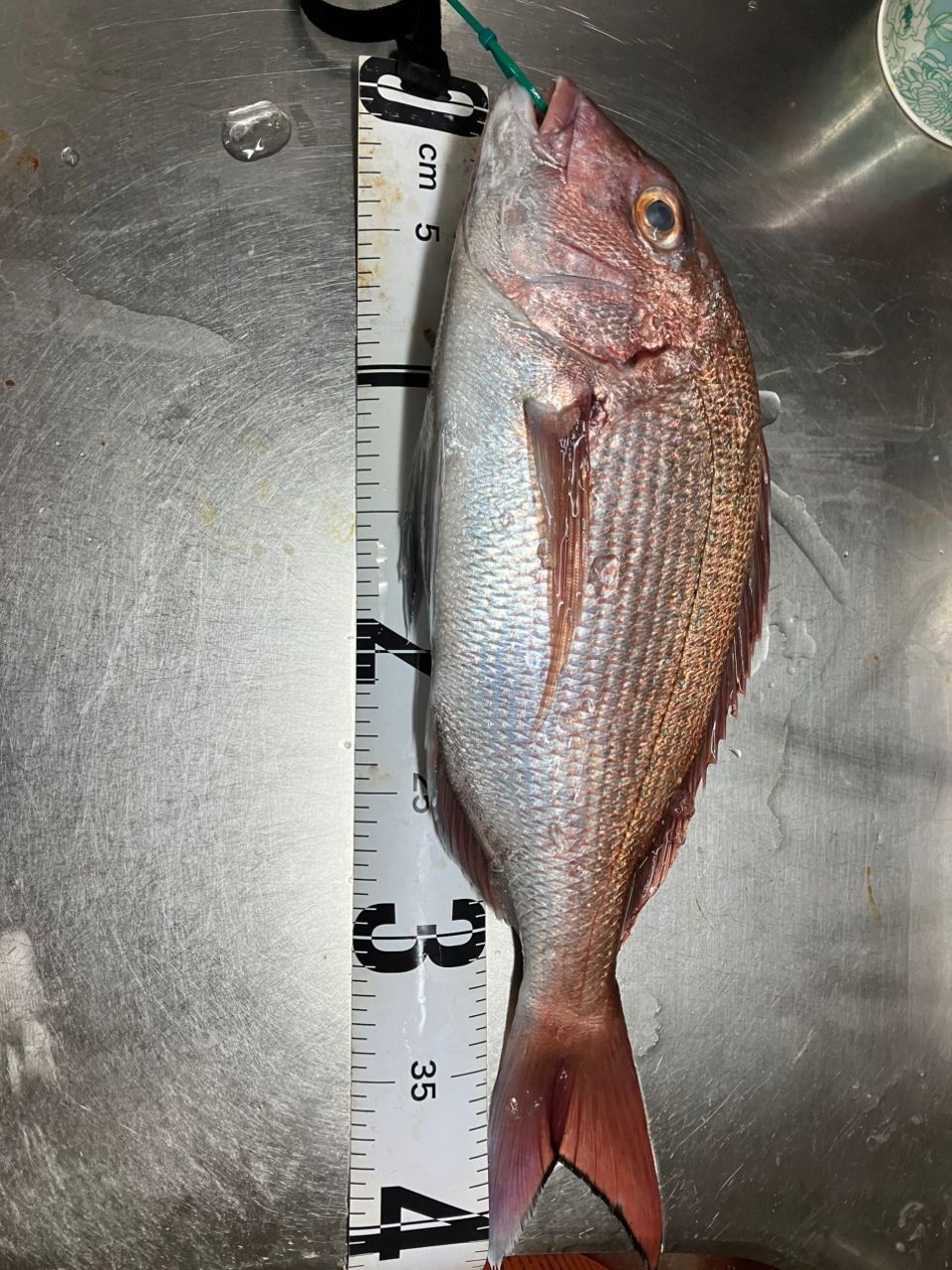 kunisanさんの釣果 3枚目の画像