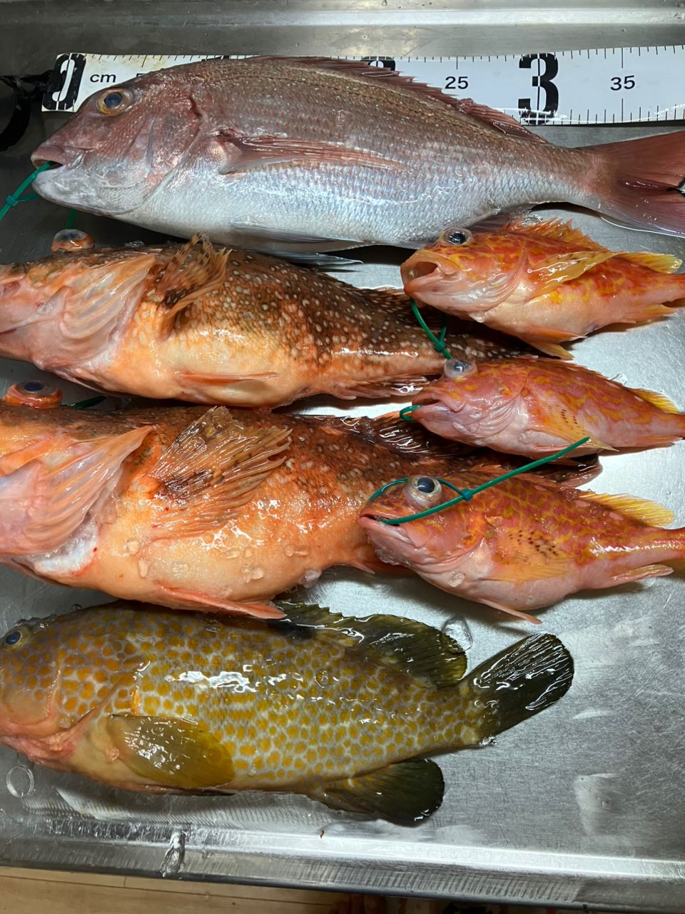 kunisanさんの釣果 2枚目の画像