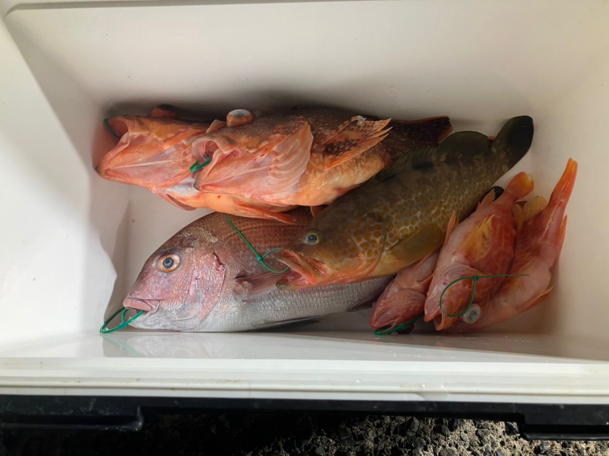 kunisanさんの釣果 3枚目の画像