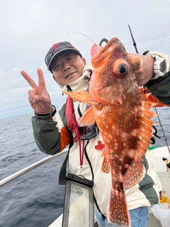 ウッカリカサゴの釣果