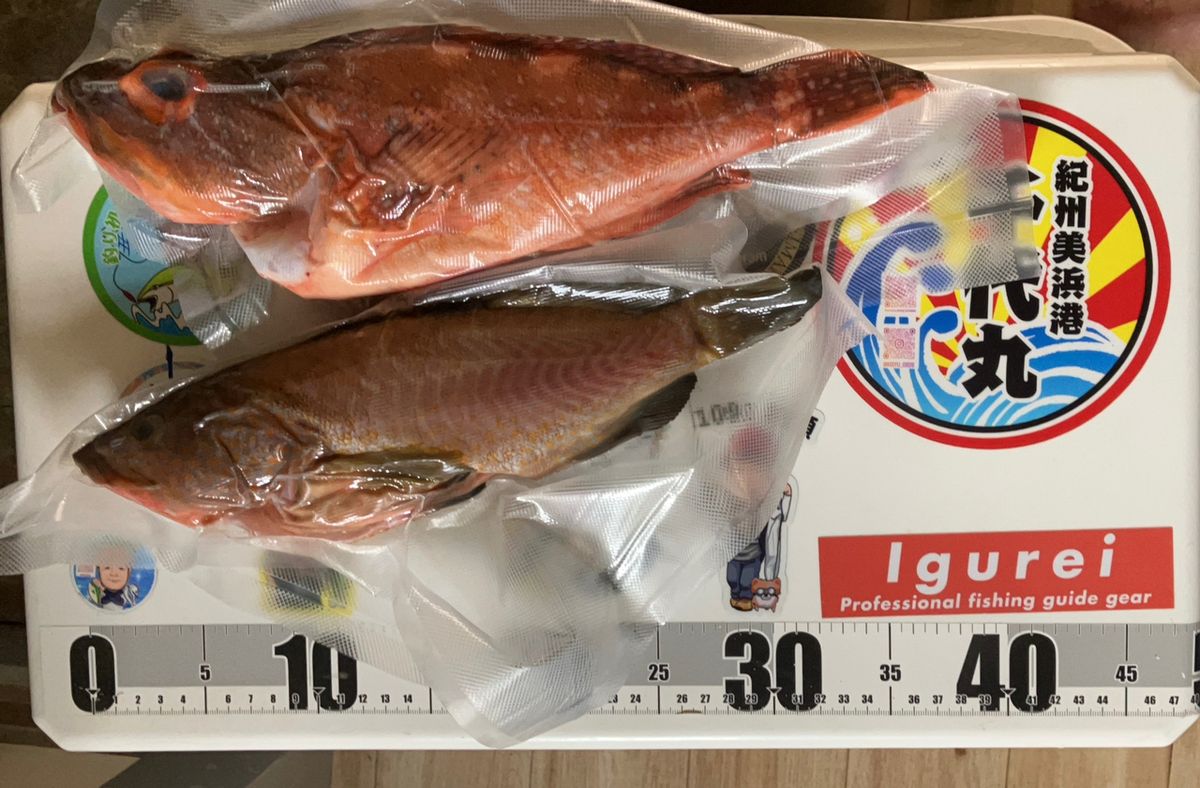 kunisanさんの釣果 2枚目の画像