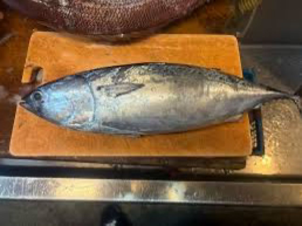 ラージマウスバス