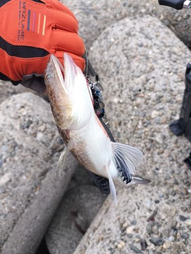 忠岡木材コンビナート