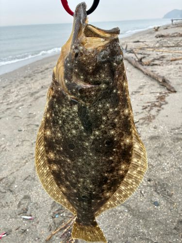 新舞子海岸（富津）