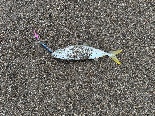 釜谷浜海水浴場