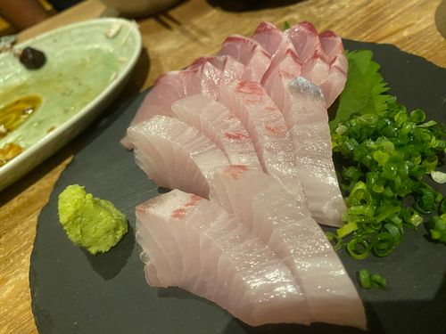 カンパチの釣果