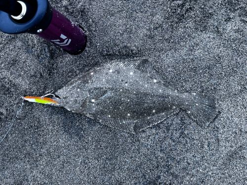 滝浜エメラルドビーチ