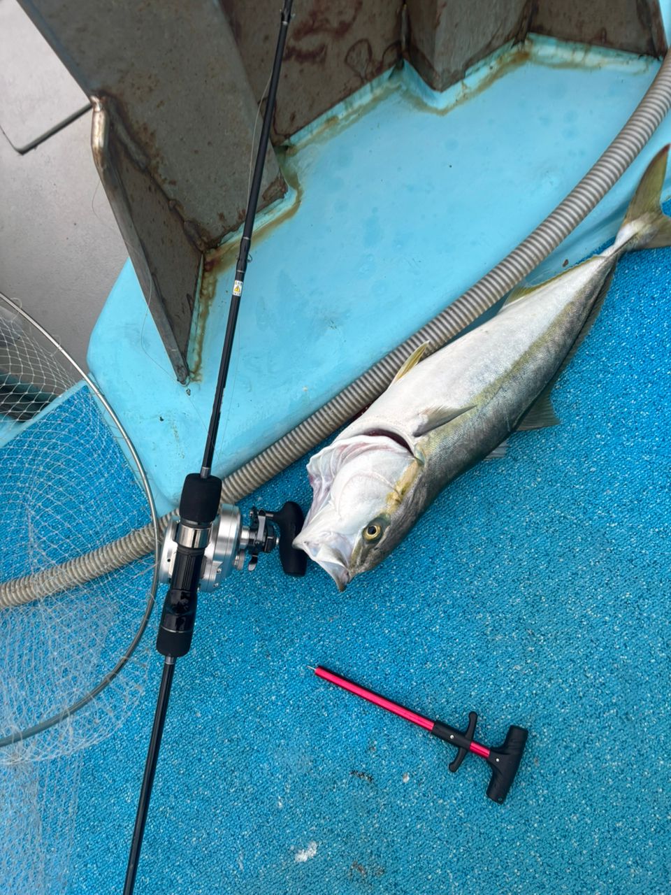 Mackey-jiggingさんの釣果 2枚目の画像