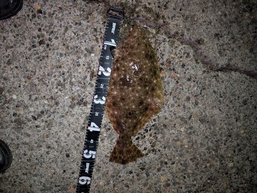 塩屋海岸（石川）