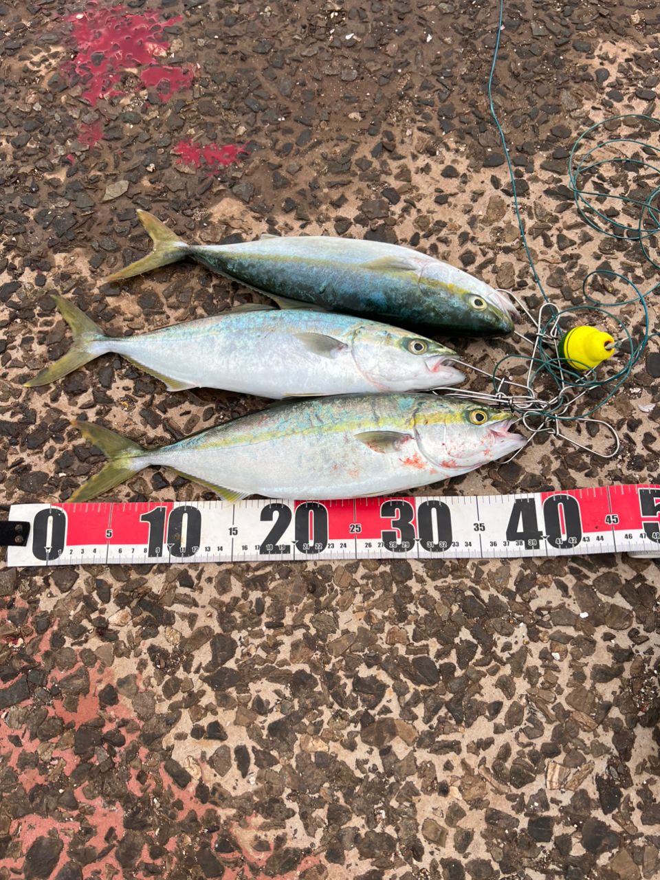 DAIWA 23ドラッガー X 100MLの最安値・インプレ・釣果 | 本音の口コミ