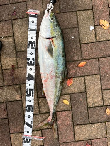 関門海峡（山口）