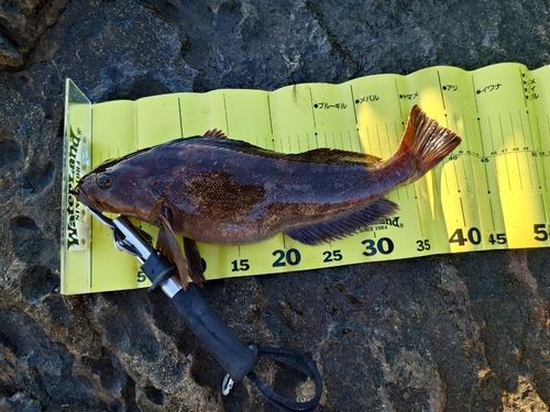 三陸海岸（青森）