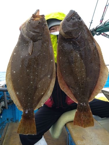 ヒラメの釣果