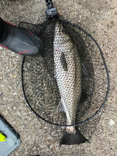 千葉港中央埠頭