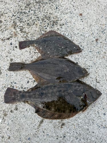 渡波港白灯防波堤