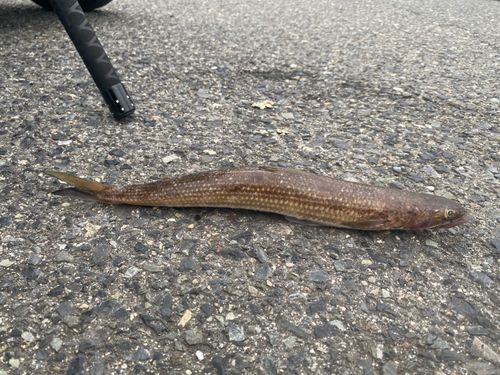 関西国際空港付近