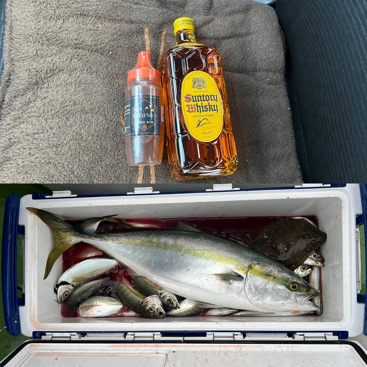 政信丸さんの釣果 3枚目の画像