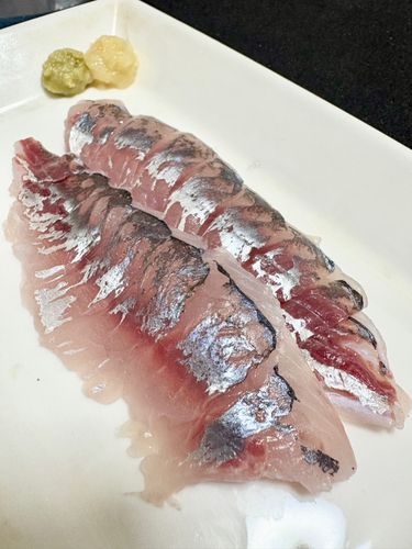 大黒ふ頭西緑地