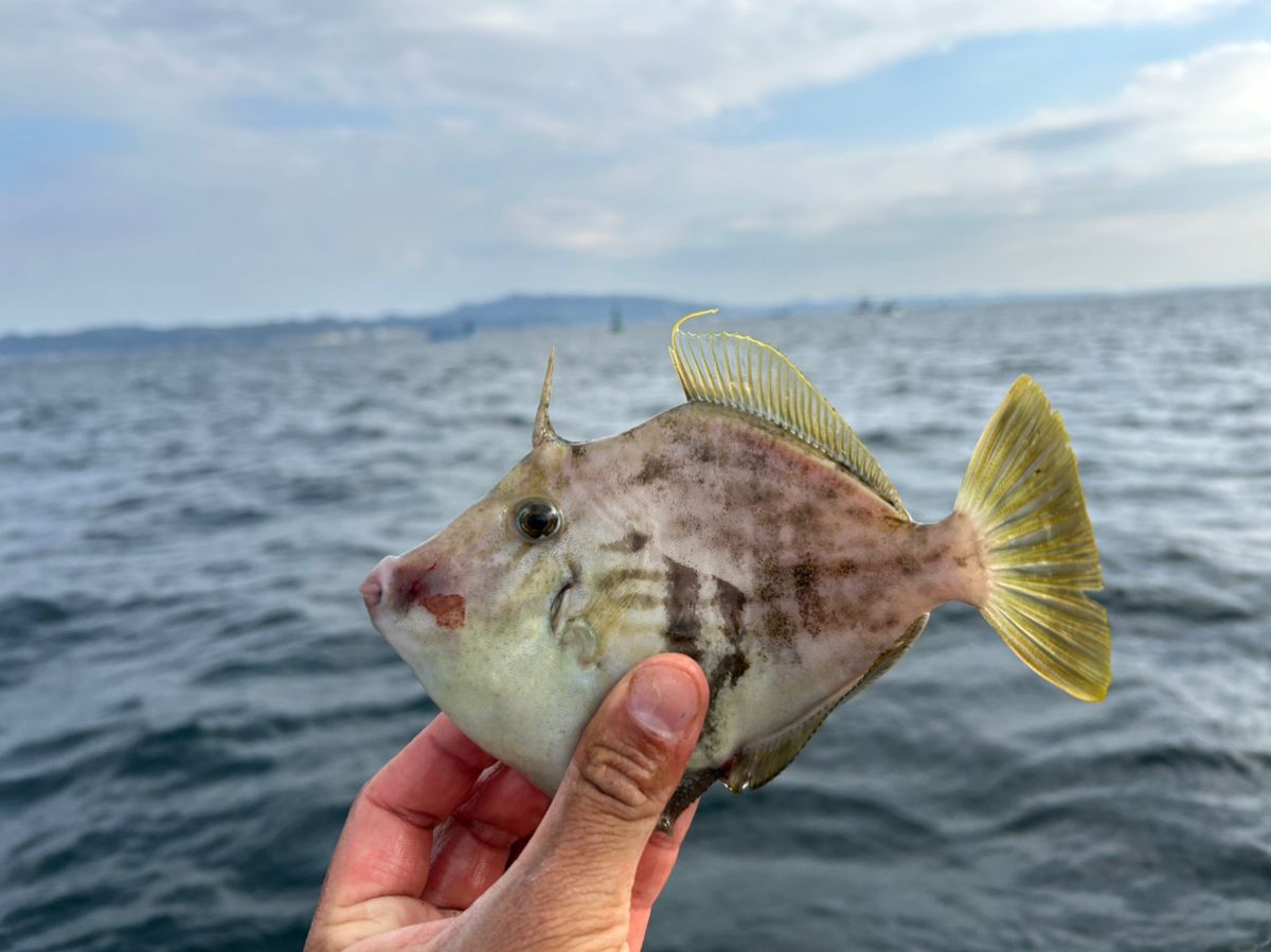 みき0110さんの釣果 1枚目の画像