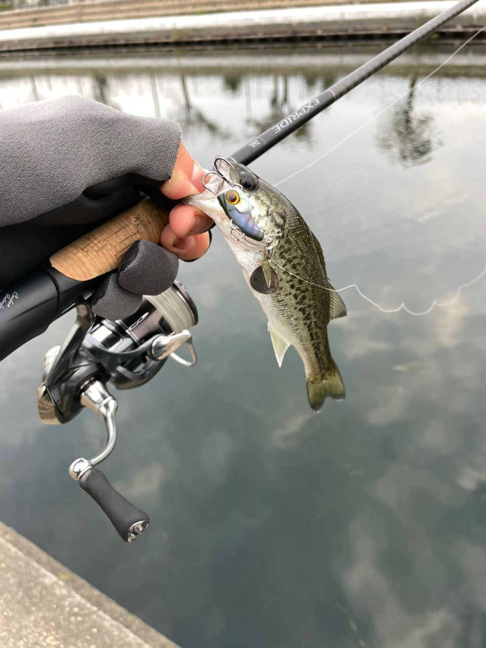 BLACK KAZU さんの 2025年11月13日のブラックバスの釣り・釣果情報