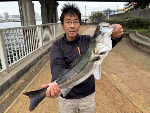 船橋港親水公園