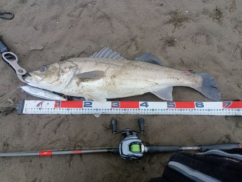 東京湾（アクアライン〜富津）