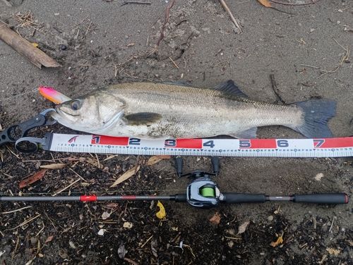 東京湾（アクアライン〜富津）