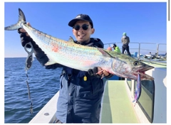 サワラの釣果
