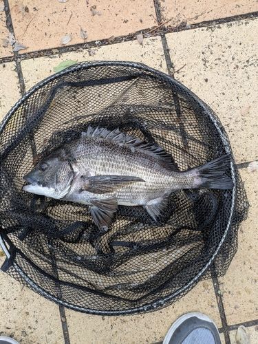 潮見さざなみ公園