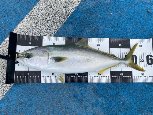 新地町海釣り公園