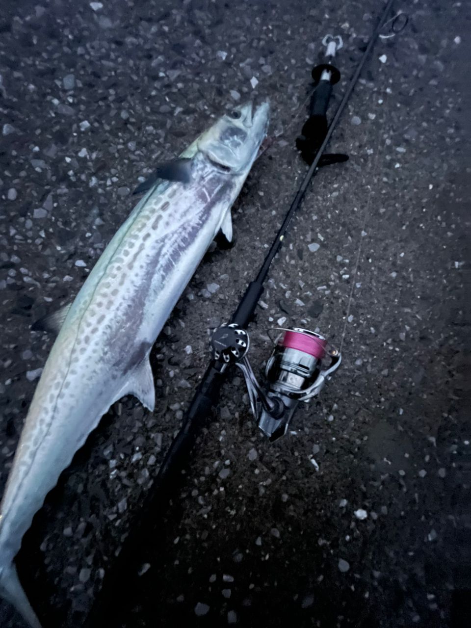 APIA グランデージ スタンダード 86MLの最安値・インプレ・釣果 | 本音