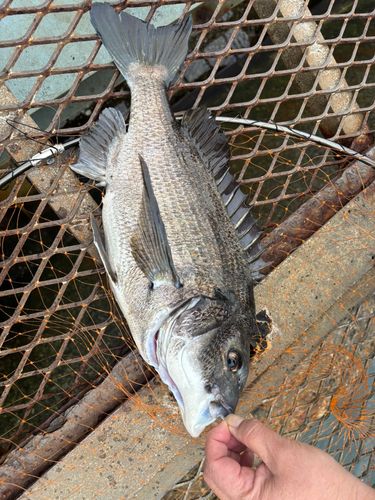 大黒海づり施設