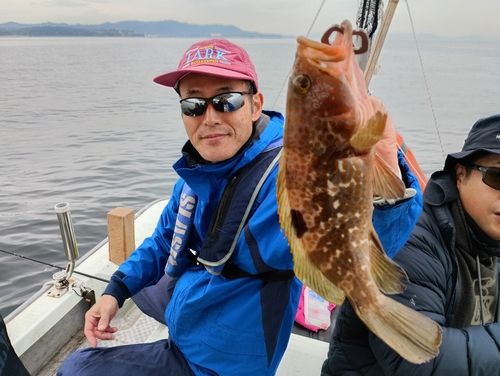 キジハタの釣果