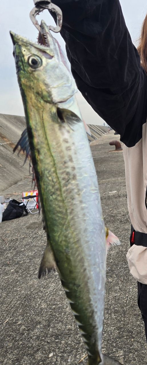 小沼田さんの釣果 1枚目の画像