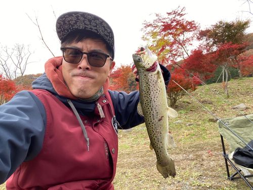 ブラウントラウトの釣果