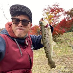 ブラウントラウト