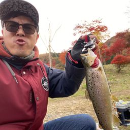 ブラウントラウト