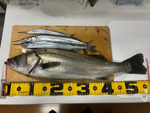 秋田火力発電所前