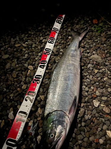 旭漁港（えりも）