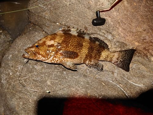 三ツ石（真鶴）