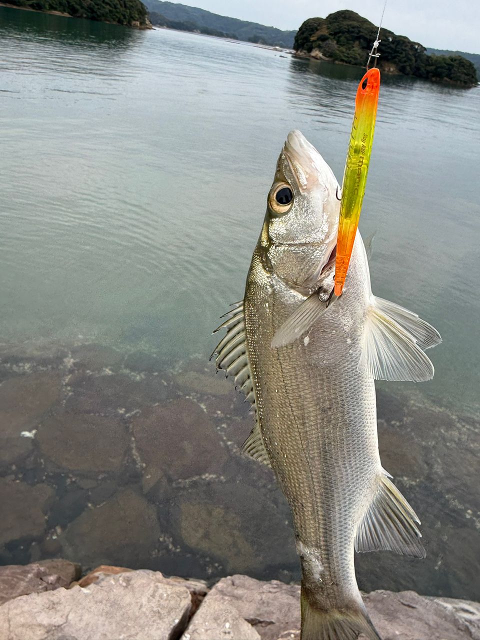 SHIMANO 18エクスセンスジェノス S92ML/F-3の最安値・インプレ・釣果