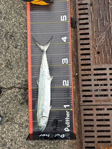 鞠山海遊パーク