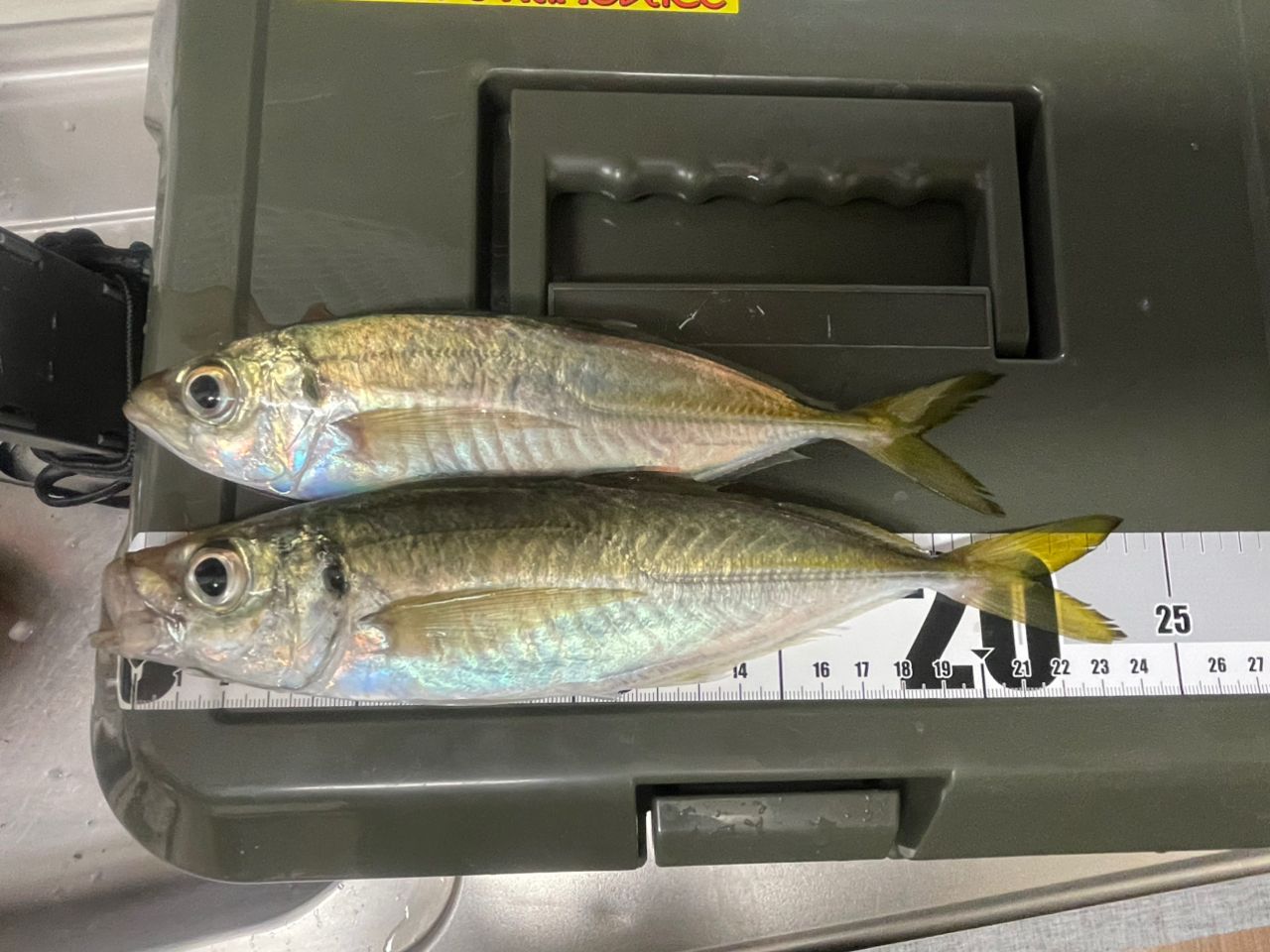 MajorCraft 23鯵道 1G-class AD1-S582Lの最安値・インプレ・釣果