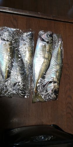 小名浜港アクアマリンふくしま周辺