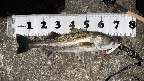 浜田港（島根）