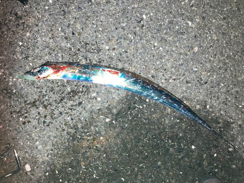 東京湾（アクアライン〜富津）