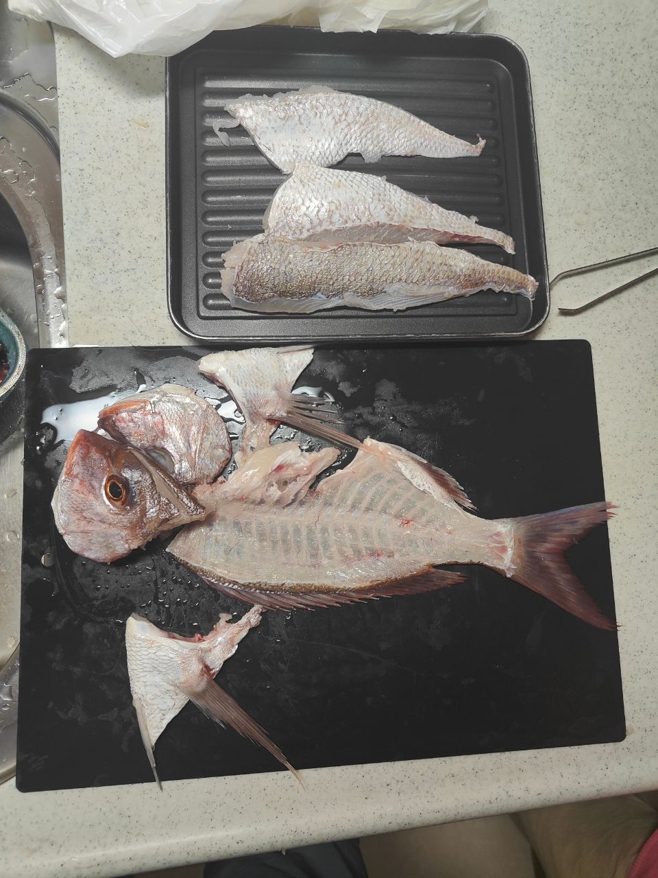 ハムイニさんの釣果 1枚目の画像